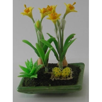 Easter lilies in a shallow pot, 4 x 3.5 cm