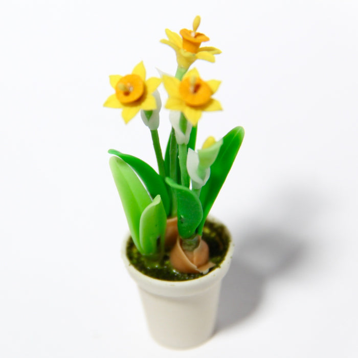 Easter lilies in a pot