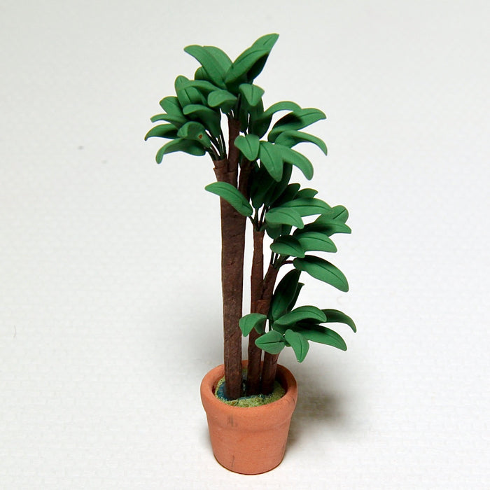 Green plant, palm in a clay pot, 10 cm