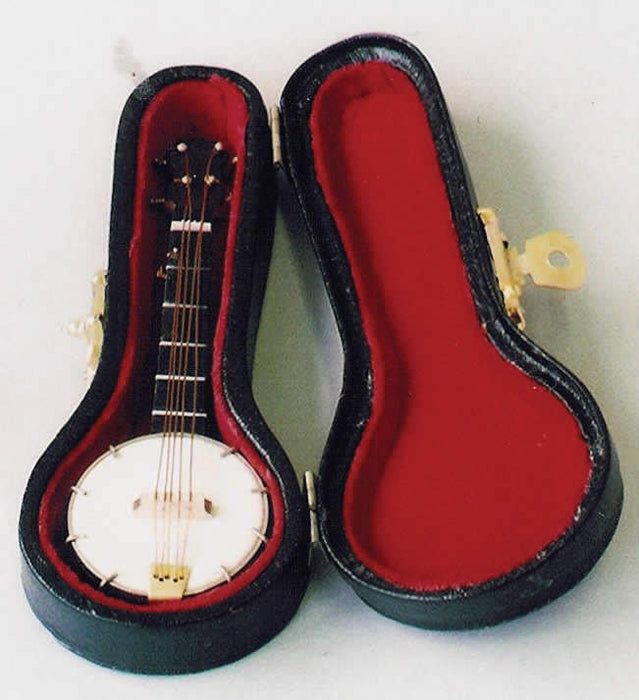 Banjo 8 cm and instrument case