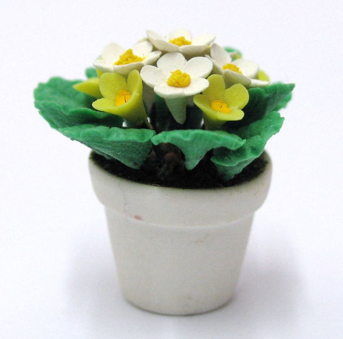 Spring flower in a pot, small