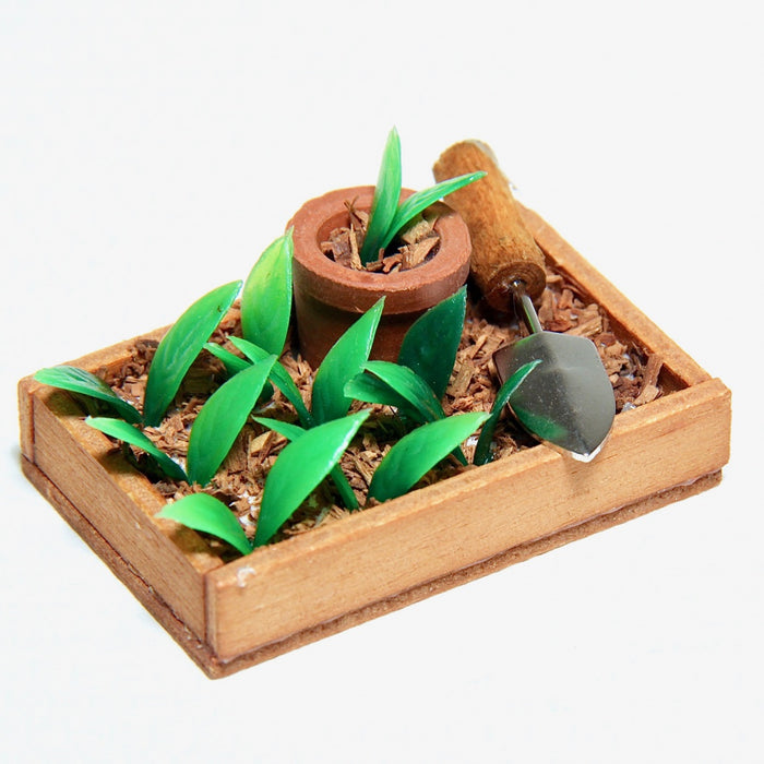 Seedling box and accessories