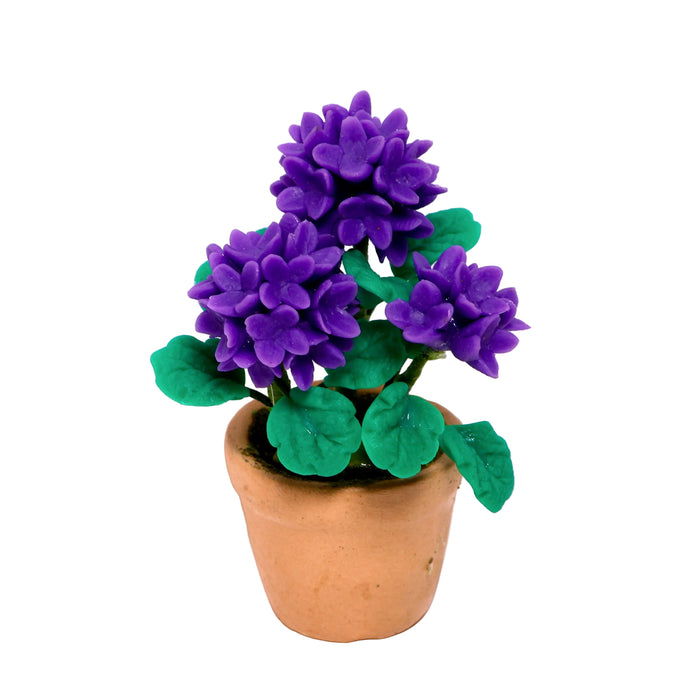 Liila hortensia nukkekotiin.