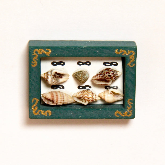 Seashell board, 2.8 x 4 cm