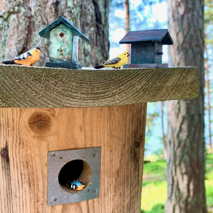 Birdhouse, wood ready