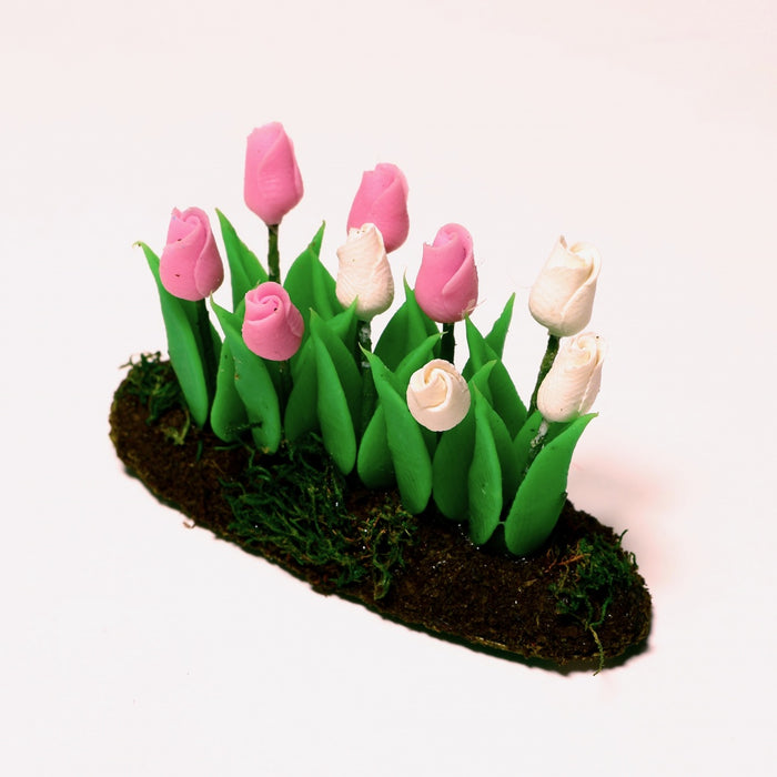 Tulips in a flower bed, white-pink