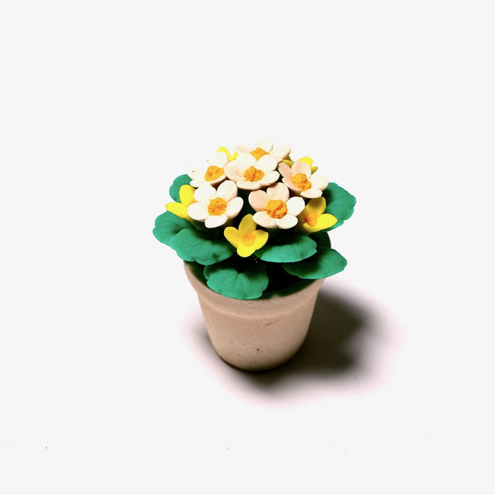 Spring flower in a pot, small