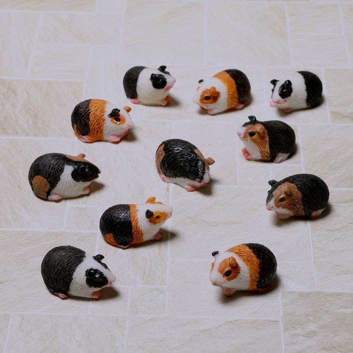 Guinea pig, selection varies, 1 pc