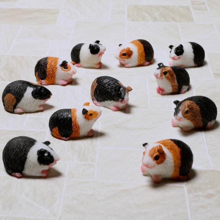 Guinea pig, selection varies, 1 pc