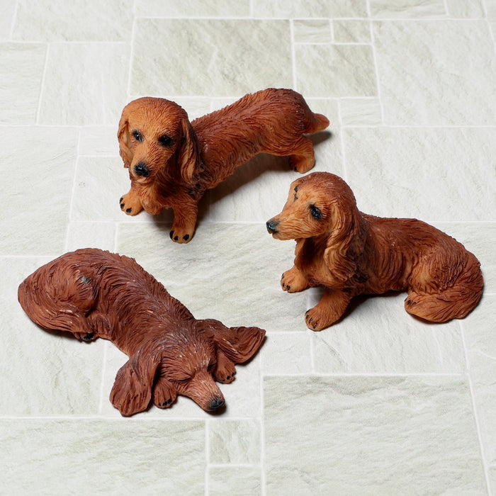 Dachshund, long-haired, brown, 3 pcs