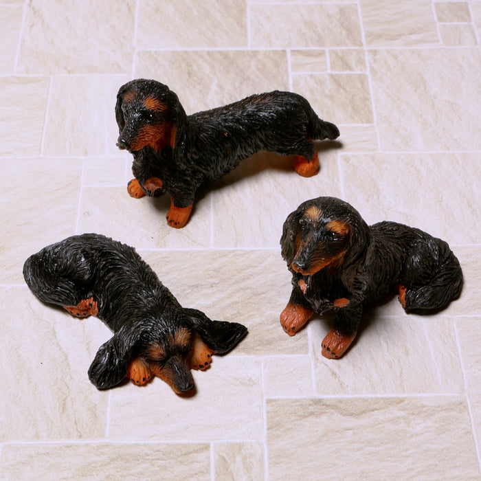 Dachshund, long-haired, black, 3 pcs