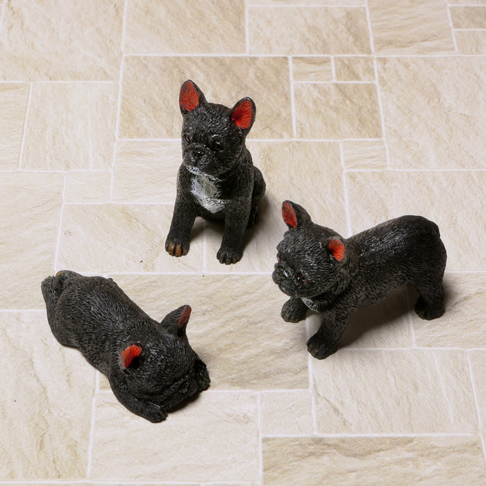 French bulldog, dog, 3 pcs