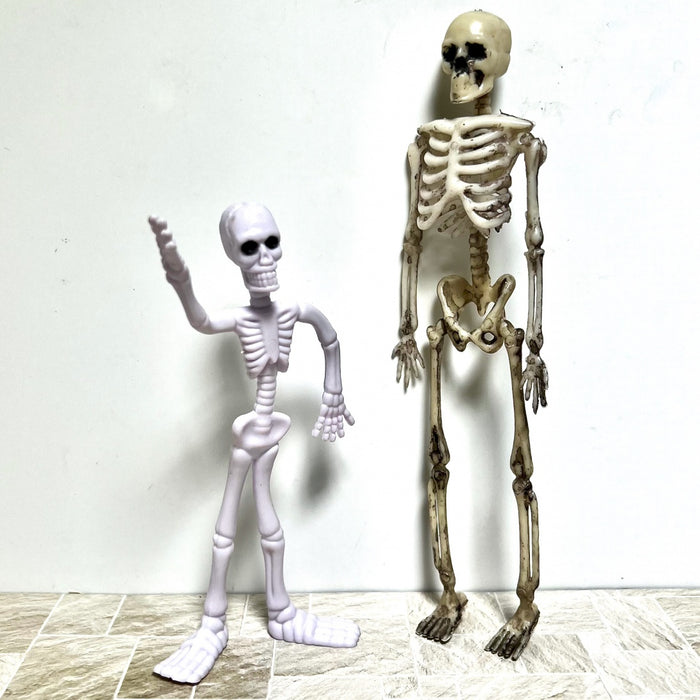 Skeleton, tall