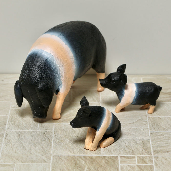 Pig, sow, black-motley, large