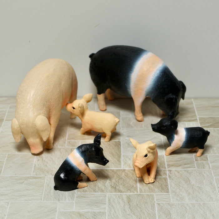 Pig, sow, black-motley, large