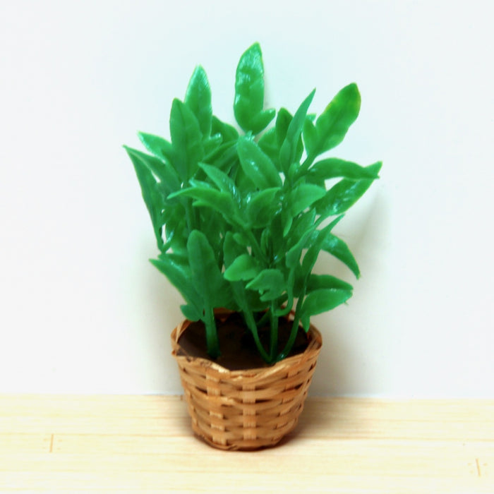 Green plant in a basket, plastic