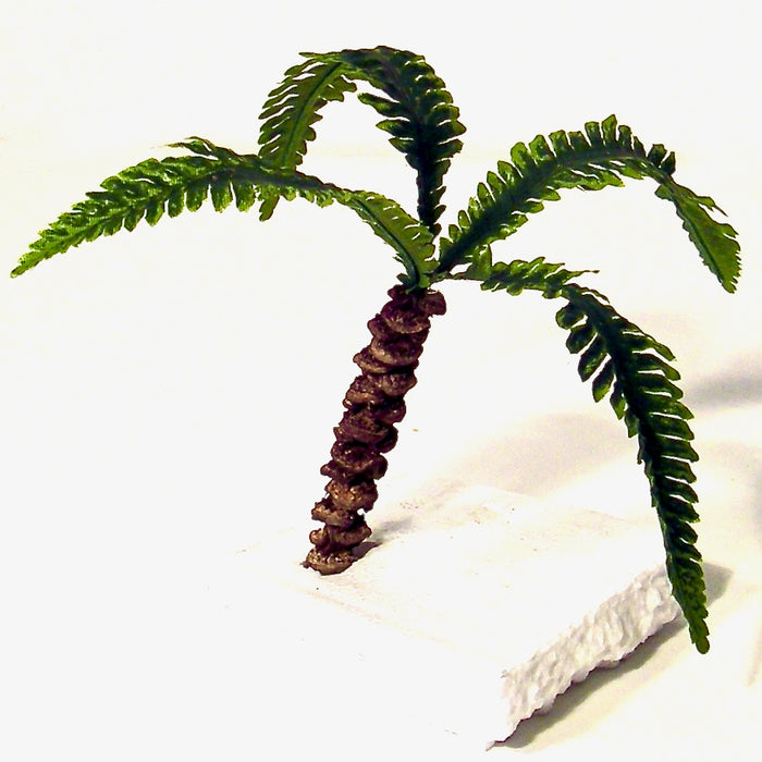 Palm, stam 7 cm