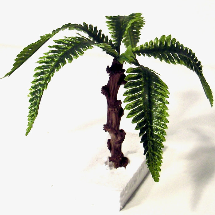 Palm, stam 11 cm