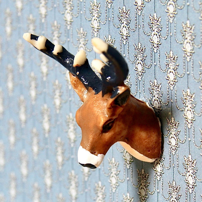 Deer's head, a trophy for the wall