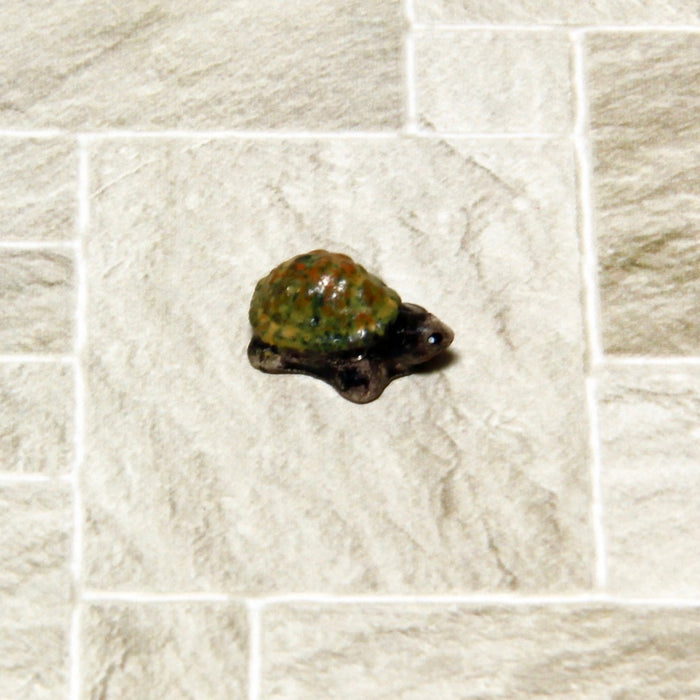 Turtle, small